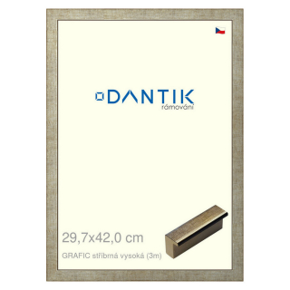 DANTIK rámeček 29,7x42 | GRAFIC stříbrná vysoká (Plexi Čiré)