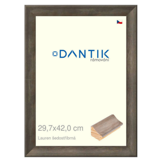 DANTIK rámeček 29,7x42 | Lauren šedostříbrná (Plexi Čiré)