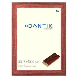 DANTIK rámeček 29,7x42 | LYON červená (Plexi Čiré)