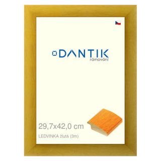 DANTIK rámeček 29,7x42 | LEDVINKA žlutá (Plexi Čiré)