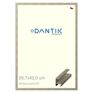 DANTIK rámeček 29,7x42 | ALU profil 6220 champagne (Plexi Čiré)