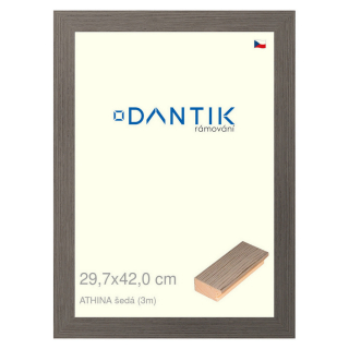 DANTIK rámeček 29,7x42 | ATHINA šedá (Plexi Čiré)
