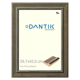 DANTIK rámeček 29,7x42 | Oro Fino stříbrná (Plexi Čiré)