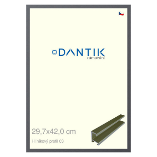 DANTIK rámeček 29,7x42 | ALU profil 7003 Platina matná (Plexi Čiré)