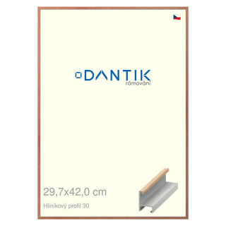 DANTIK rámeček 29,7x42 | ALU profil 6030 Dýha dub lak matný (Plexi Čiré)