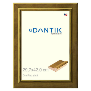 DANTIK rámeček 29,7x42 | Oro Fino zlatá (Plexi Čiré)