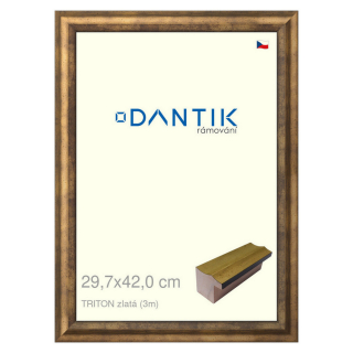 DANTIK rámeček 29,7x42 | TRITON zlatá (Plexi Čiré)