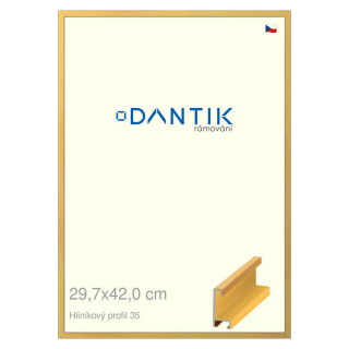 DANTIK rámeček 29,7x42 | ALU profil 6035 Dýha barevná žlutá (Plexi Čiré)