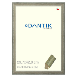 DANTIK rámeček 29,7x42 | DELFINO stříbrná (Plexi Čiré)