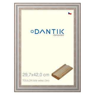 DANTIK rámeček 29,7x42 | TOULON bílá velká (Plexi Čiré)
