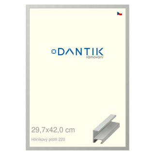 DANTIK rámeček 29,7x42 | ALU profil 6220 Stříbrná matná (Plexi Čiré)