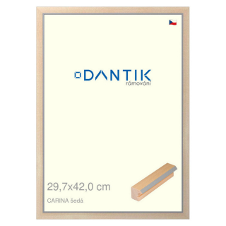 DANTIK rámeček 29,7x42 | CARINA šedá (Plexi Čiré)
