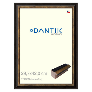 DANTIK rámeček 29,7x42 | TRITON černá (Plexi Čiré)