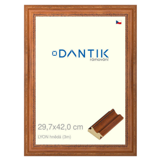 DANTIK rámeček 29,7x42 | LYON hnědá (Plexi Čiré)
