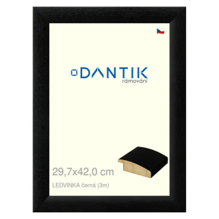DANTIK rámeček 29,7x42 | LEDVINKA černá (Plexi Čiré)