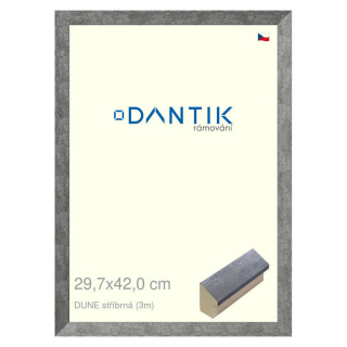 DANTIK rámeček 29,7x42 | DUNE stříbrná (Plexi Čiré)