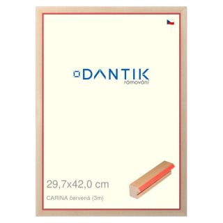 DANTIK rámeček 29,7x42 | CARINA červená (Plexi Čiré)