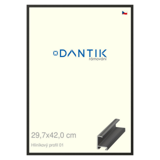 DANTIK rámeček 29,7x42 | ALU profil 6001 Černá matná (Plexi Čiré)