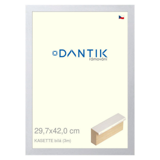 DANTIK rámeček 29,7x42 | KASSETTE bílá (Plexi Čiré)