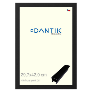 DANTIK rámeček 29,7x42 | ALU profil 7005 Černá matná (Plexi Čiré)