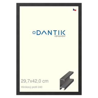 DANTIK rámeček 29,7x42 | ALU profil 6240 Černá matná (Plexi Čiré)