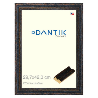 DANTIK rámeček 29,7x42 | LYON černá (Plexi Čiré)