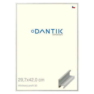 DANTIK rámeček 29,7x42 | ALU profil 6030 Dýha barevná šedá světlá (Plexi Čiré)
