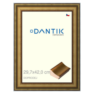 DANTIK rámeček 29,7x42 | Doprodej | METAL AU prohlá velká (Plexi Čiré)