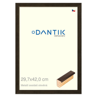 DANTIK rámeček 29,7x42 | Metalli oidati olověná (Plexi Čiré)