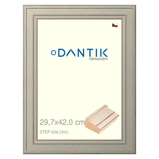 DANTIK rámeček 29,7x42 | STEP bílá (Plexi Čiré)