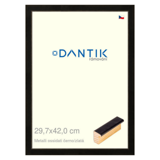 DANTIK rámeček 29,7x42 | Metalli oidati černozlatá (Plexi Čiré)