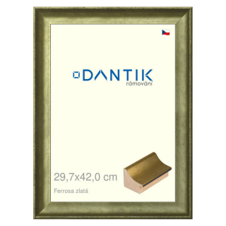 DANTIK rámeček 29,7x42 | Ferrosa zlatá (Plexi Čiré)