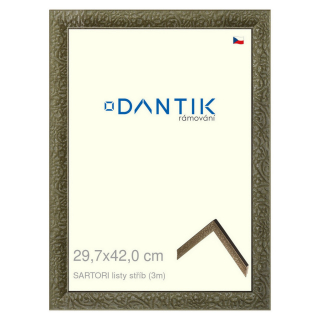DANTIK rámeček 29,7x42 | SARTORI listy stříb (Plexi Čiré)