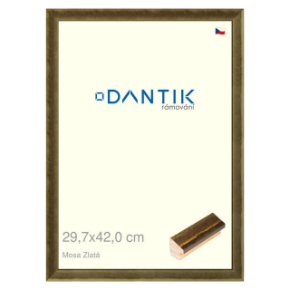 DANTIK rámeček 29,7x42 | Mosa zlatá (Plexi Čiré)