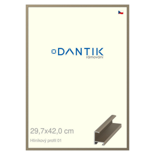 DANTIK rámeček 29,7x42 | ALU profil 6001 champagne (Plexi Čiré)