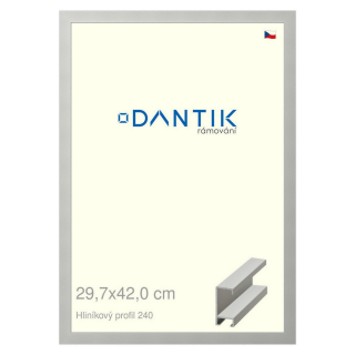 DANTIK rámeček 29,7x42 | ALU profil 6240 Stříbrná matná (Plexi Čiré)