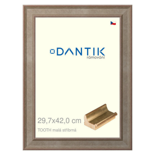 DANTIK rámeček 29,7x42 | TOOTH malá stříbrná (Plexi Čiré)