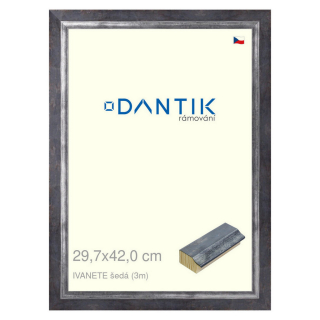 DANTIK rámeček 29,7x42 | IVANETE šedá (Plexi Čiré)