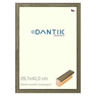 DANTIK rámeček 29,7x42 | Metalli oidati champagne (Plexi Čiré)