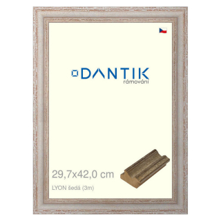 DANTIK rámeček 29,7x42 | LYON šedá (Plexi Čiré)