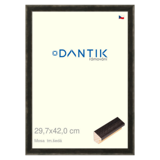 DANTIK rámeček 29,7x42 | Mosa tm.šedá (Plexi Čiré)