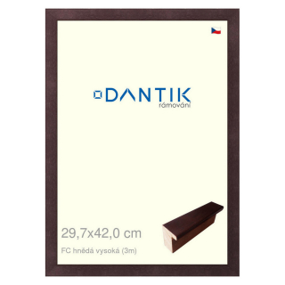 DANTIK rámeček 29,7x42 | FC hnědá vysoká (Plexi Čiré)