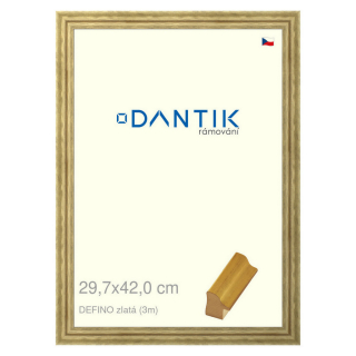 DANTIK rámeček 29,7x42 | DELFINO zlatá (Plexi Čiré)