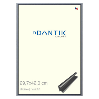 DANTIK rámeček 29,7x42 | ALU profil 7002 Platina matná (Plexi Čiré)