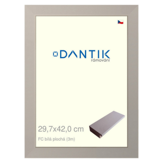DANTIK rámeček 29,7x42 | FC Bílá plochá (Plexi Čiré)
